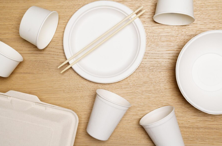 Les assiettes en bagasse peuvent-elles être utilisées au four ?