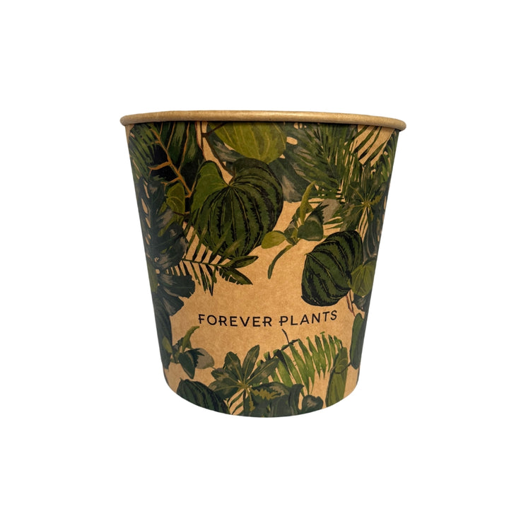 Personalized cardboard bucket 3 L