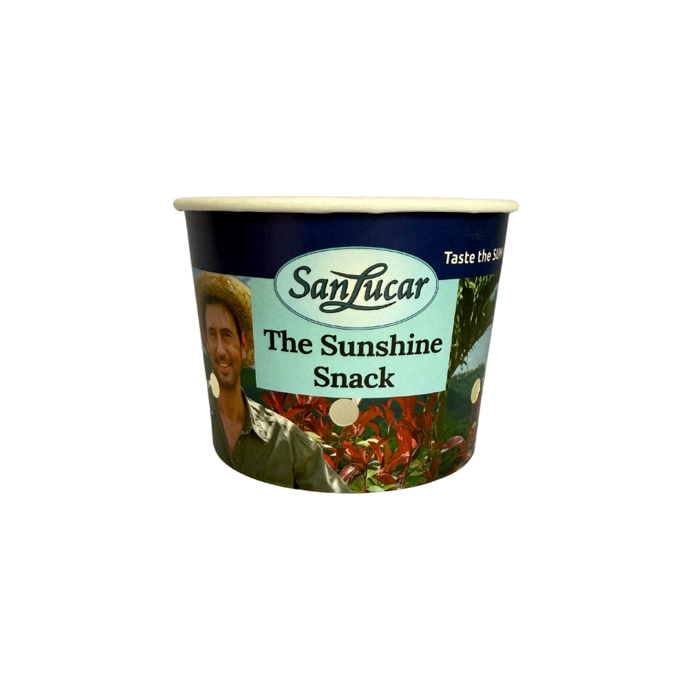 Vaso de cartón personalizado para alimentos de 500 ml