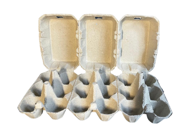 3x6 Pick&Pack XL molded cellulose egg cartons